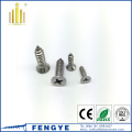 DIN7982 Self -Tapping Self Tapping Self parafuso M2.2*6.5